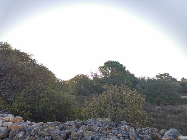 Motorhome Eco Park — Sp. parking dla kamperów in São Brás de Alportel