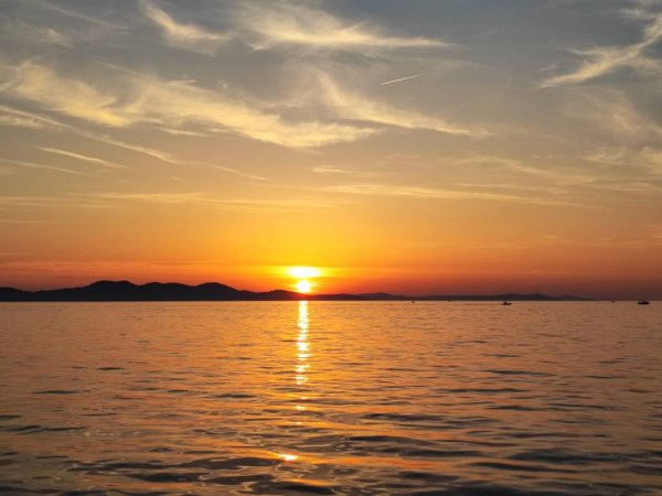 Fam.Goic — Photo 5