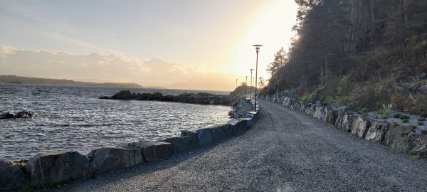 Bekkjarvik Gjesthavn — Photo 4