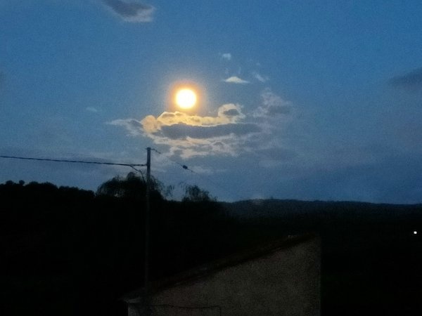 Área autocaravanas Granja La Carmela — Stellplatz in Santomera