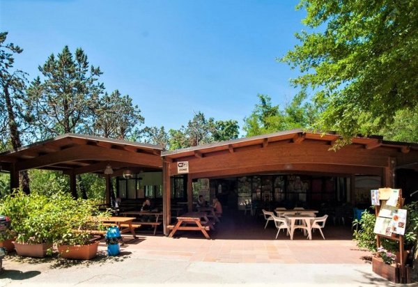 Firenze Certosa Camping — Photo 2