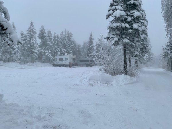 Campingplatz Kleiner Galgenteich — Photo 3