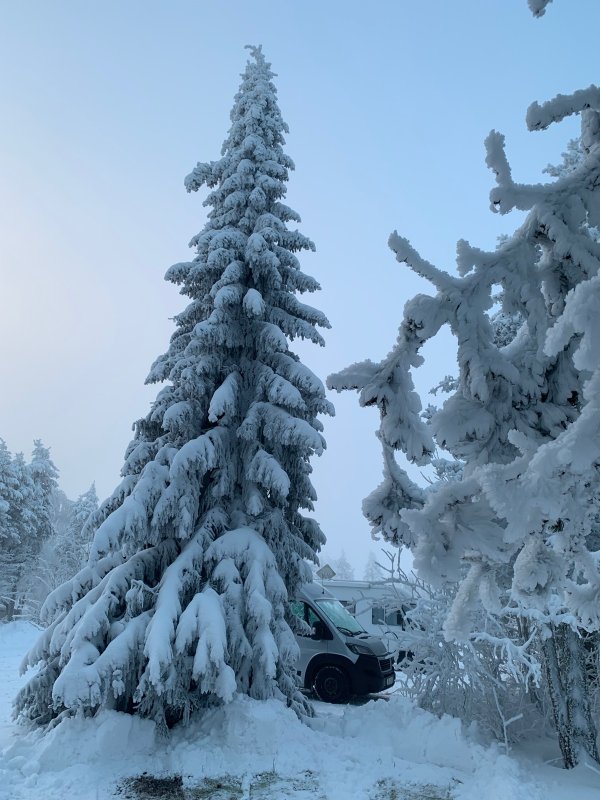 Campingplatz Kleiner Galgenteich — Photo 2