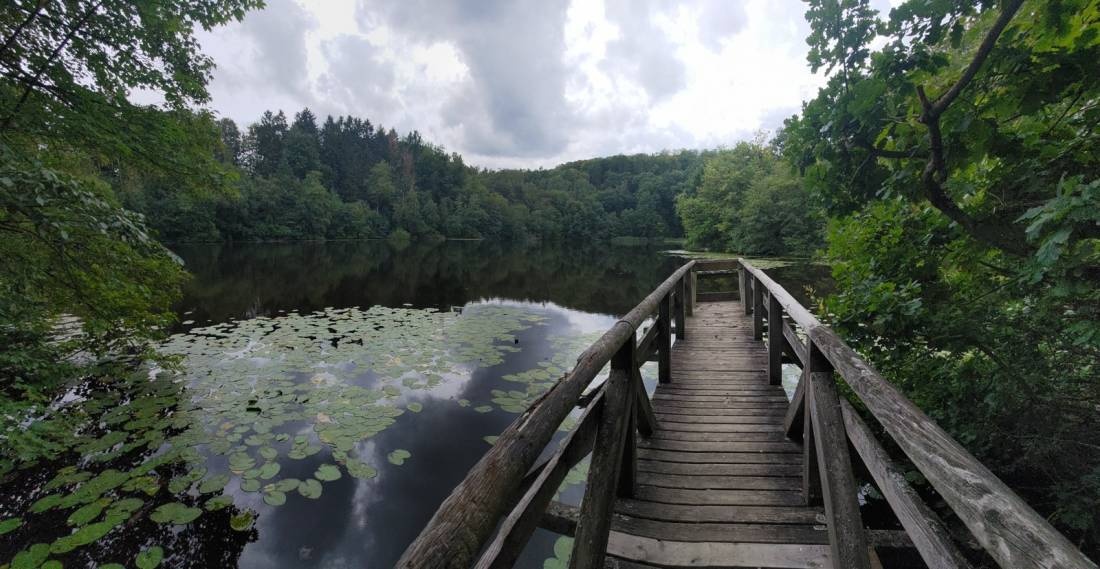 BergseeCamp — Camping in Uslar