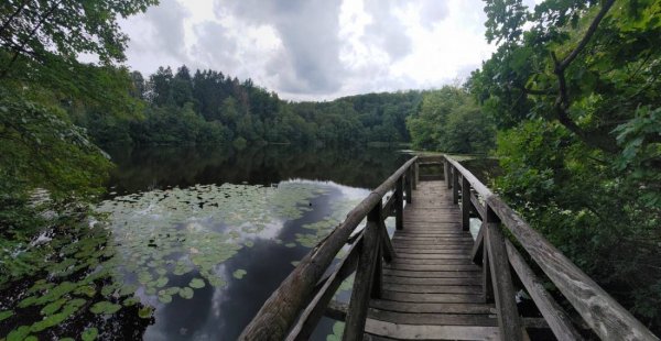 BergseeCamp — Foto 4