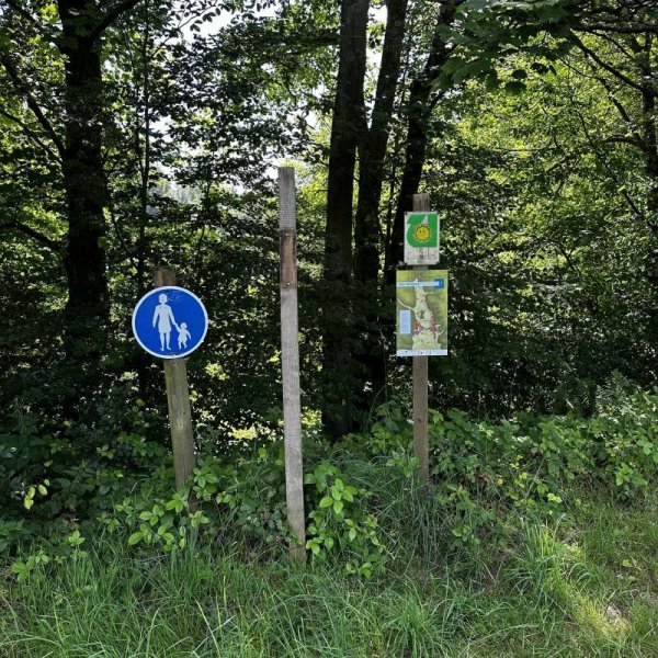 BergseeCamp — Photo 2