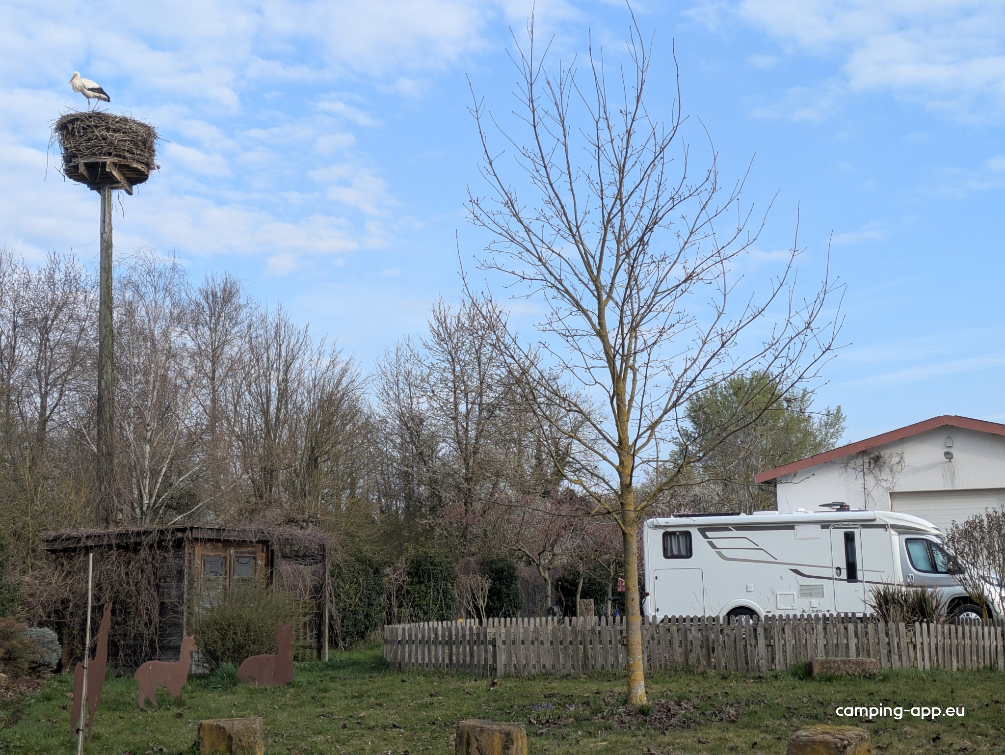 Wein- & Likörhaus Jung — Photo 4