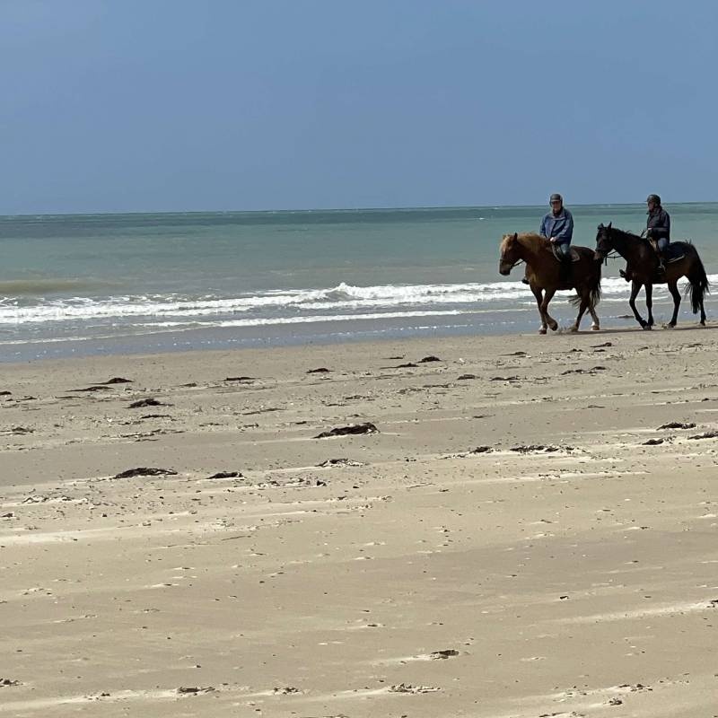 Camping Vanlée *** — Campingplads in Bricqueville-sur-Mer