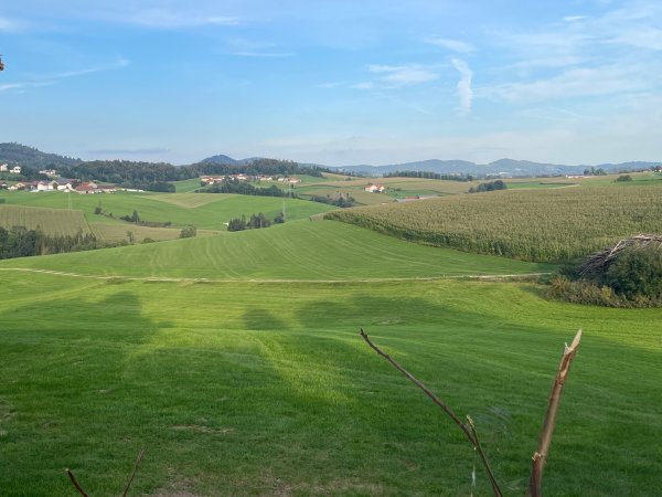 Ferienhof Schiermeier — Photo 3