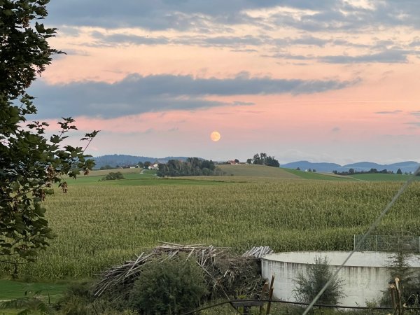 Ferienhof Schiermeier