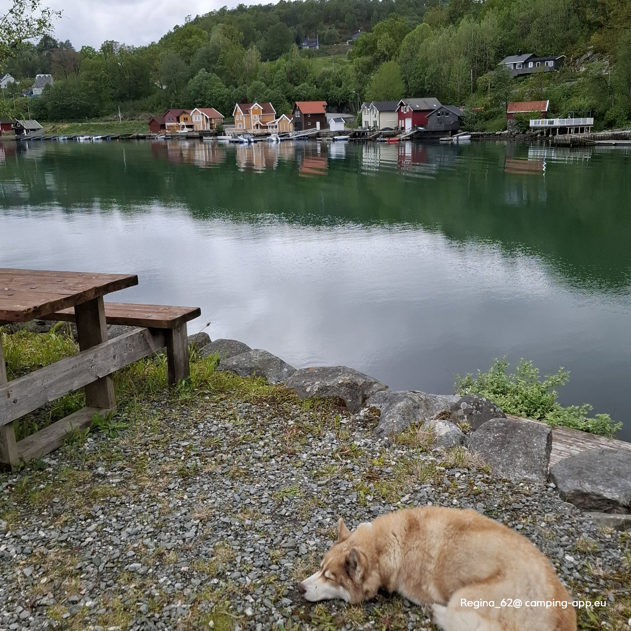 Victors Naturpark — Foto 2