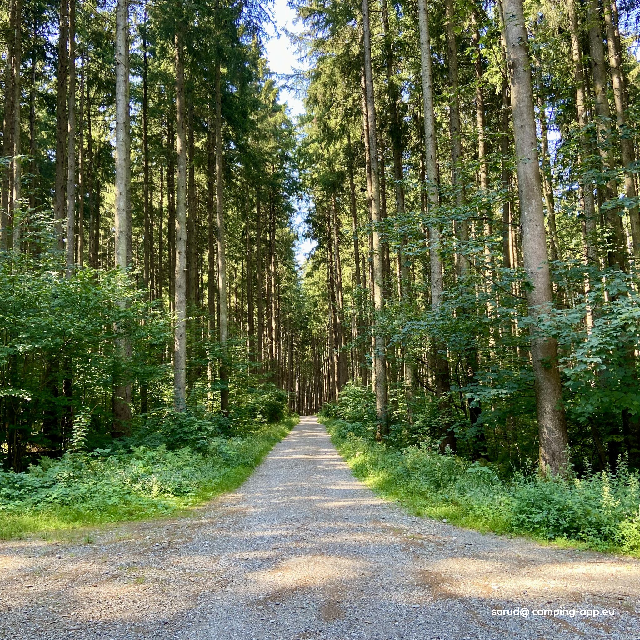 Wohnmobilpark Schwangau — Foto 2