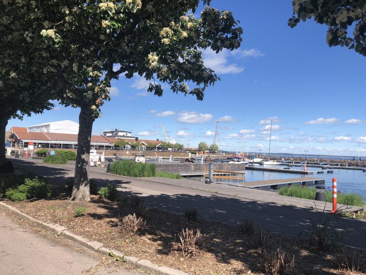 Horten Gjestehavn — Camperplads in Horten
