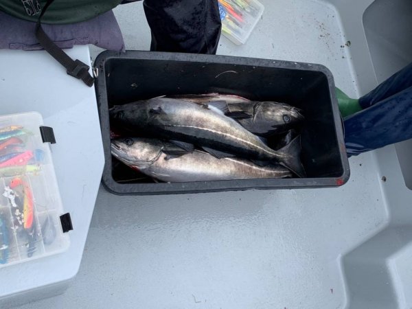 Måna Camping — Photo 6