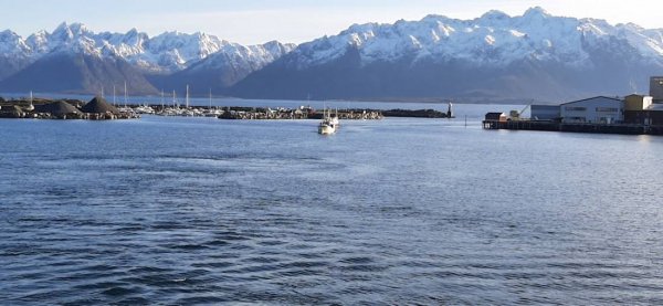 Melbu Småbåthavn — Photo 6