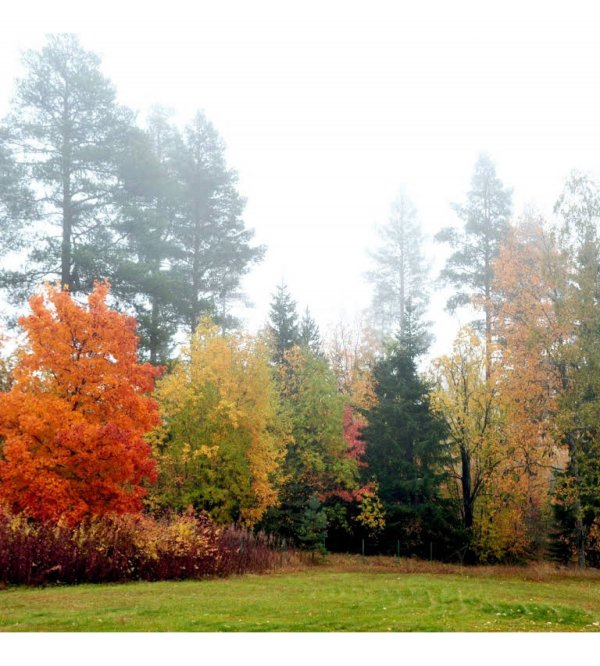 Utbildningscentrum i Gillhov — Photo 2