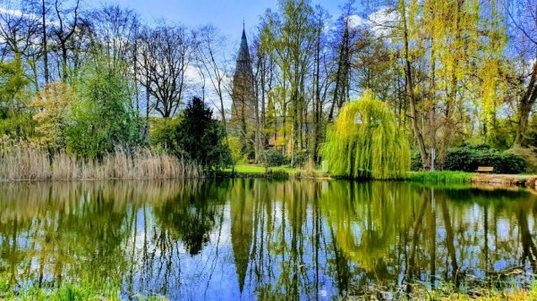 Parkplatz Stadtpark — Photo 2