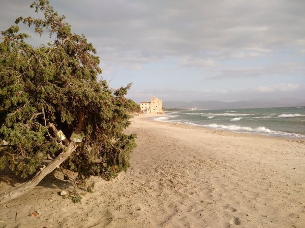 Perelli3 parking for Camper — Photo 3