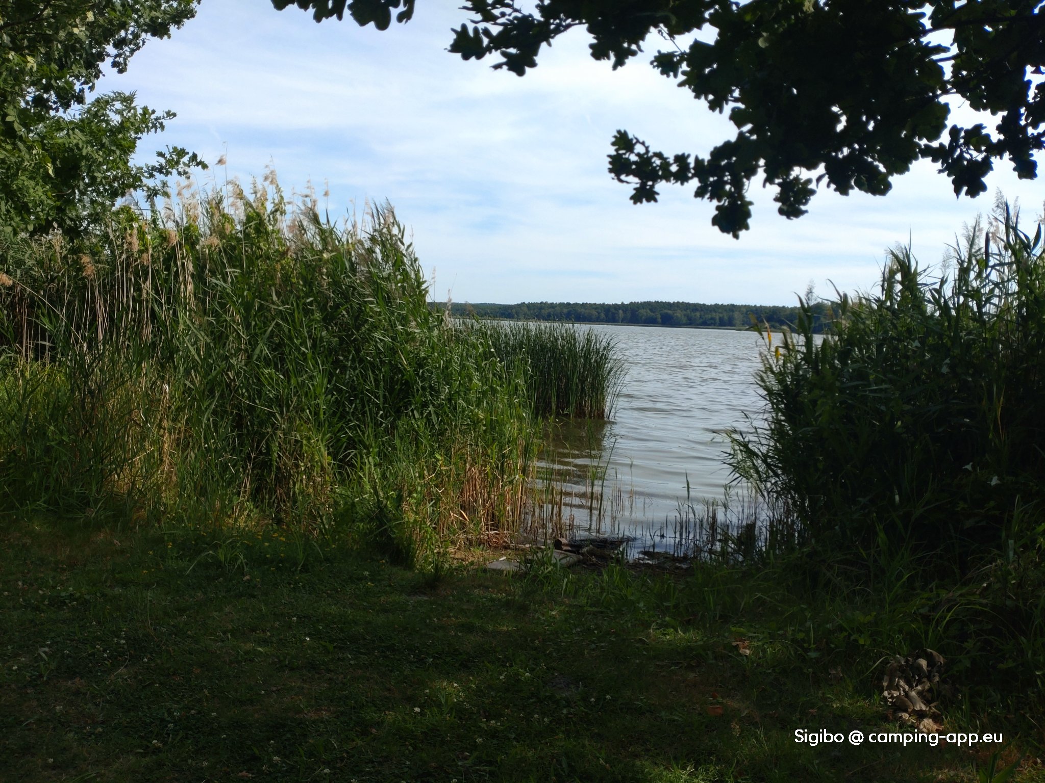 Camping am Grossteich — Foto 3