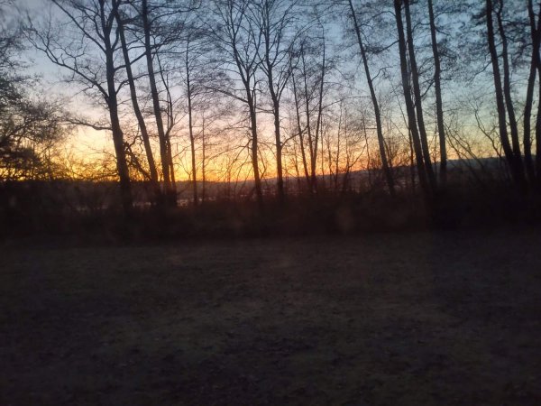 Camping am Grossteich — Photo 4