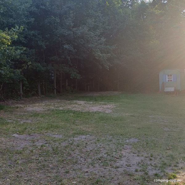 Campingplatz Königsberger See — Foto 3