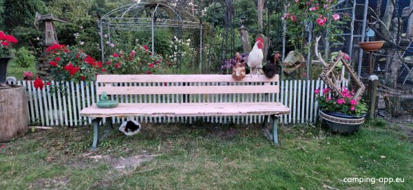 Campingplatz Waldhaus Allertal — Photo 6