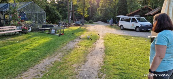 Campingplatz Waldhaus Allertal — Photo 4