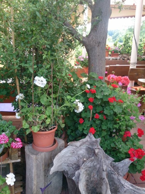 Müllers Landgasthaus Grenzsnak Ferna — Ristorante in Ferna