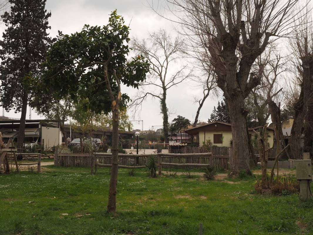 Stellplatz Via Salaria Rom — Sp. parking dla kamperów in Roma