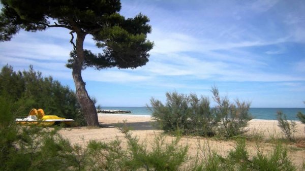 Heliopolis Camping & Village **** — Photo 2