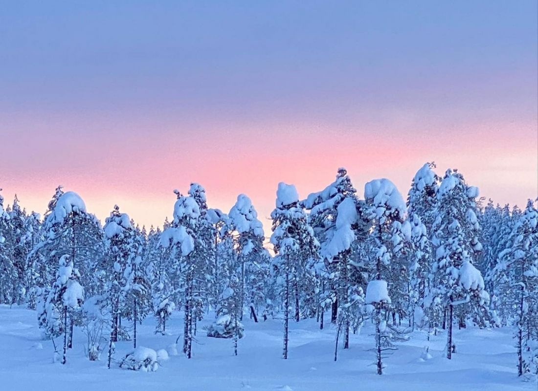 Sandsjögården Holiday Resort — Cámping in Blattnicksele