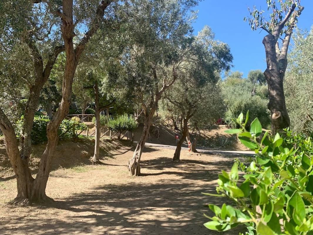 Camping Santa Fortunata Village — Cámping in Sorrento