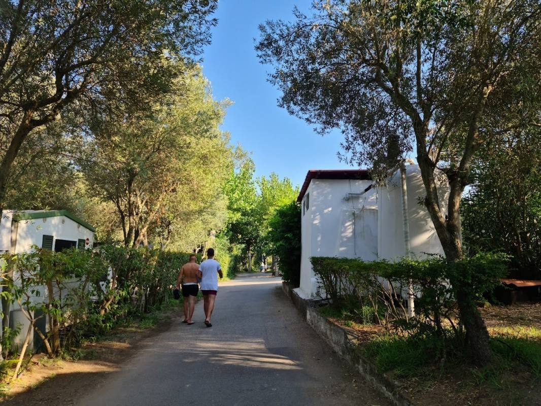 Camping Paestum — Campingplass in Eboli