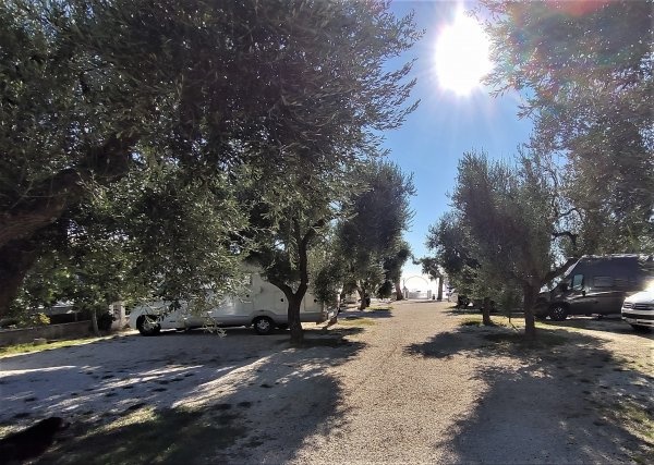 Sosta Camper Da Francesco — Aire camping car in Mattinata