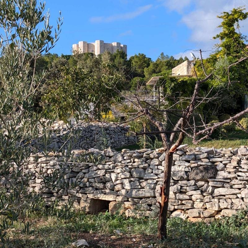 Stellplatz Montegusto — Sp. parking dla kamperów in bei Andria