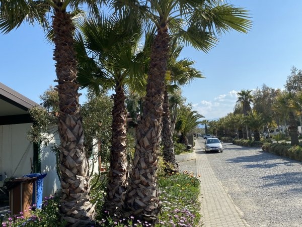 Camping Onda Azzurra — Kemping in Corigliano Rossano