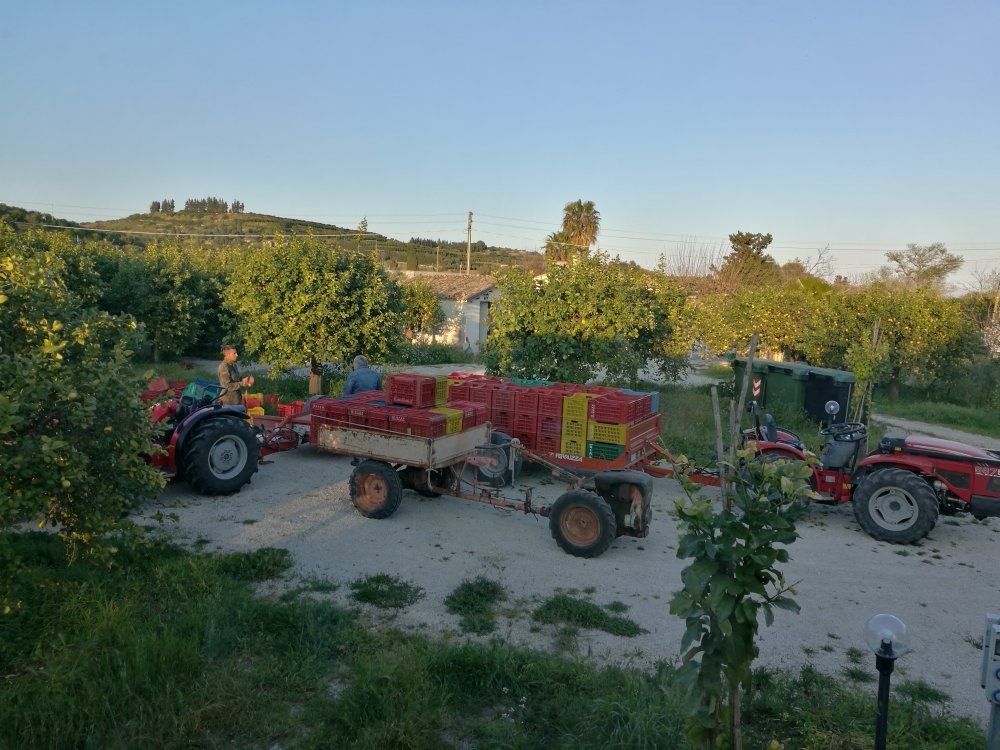 Area Sosta Camper - Noto Parking — Sp. parking dla kamperów in Noto