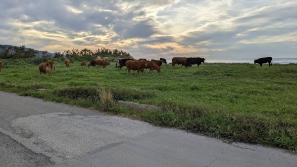 Stellplatz bei Reitano — Photo 2