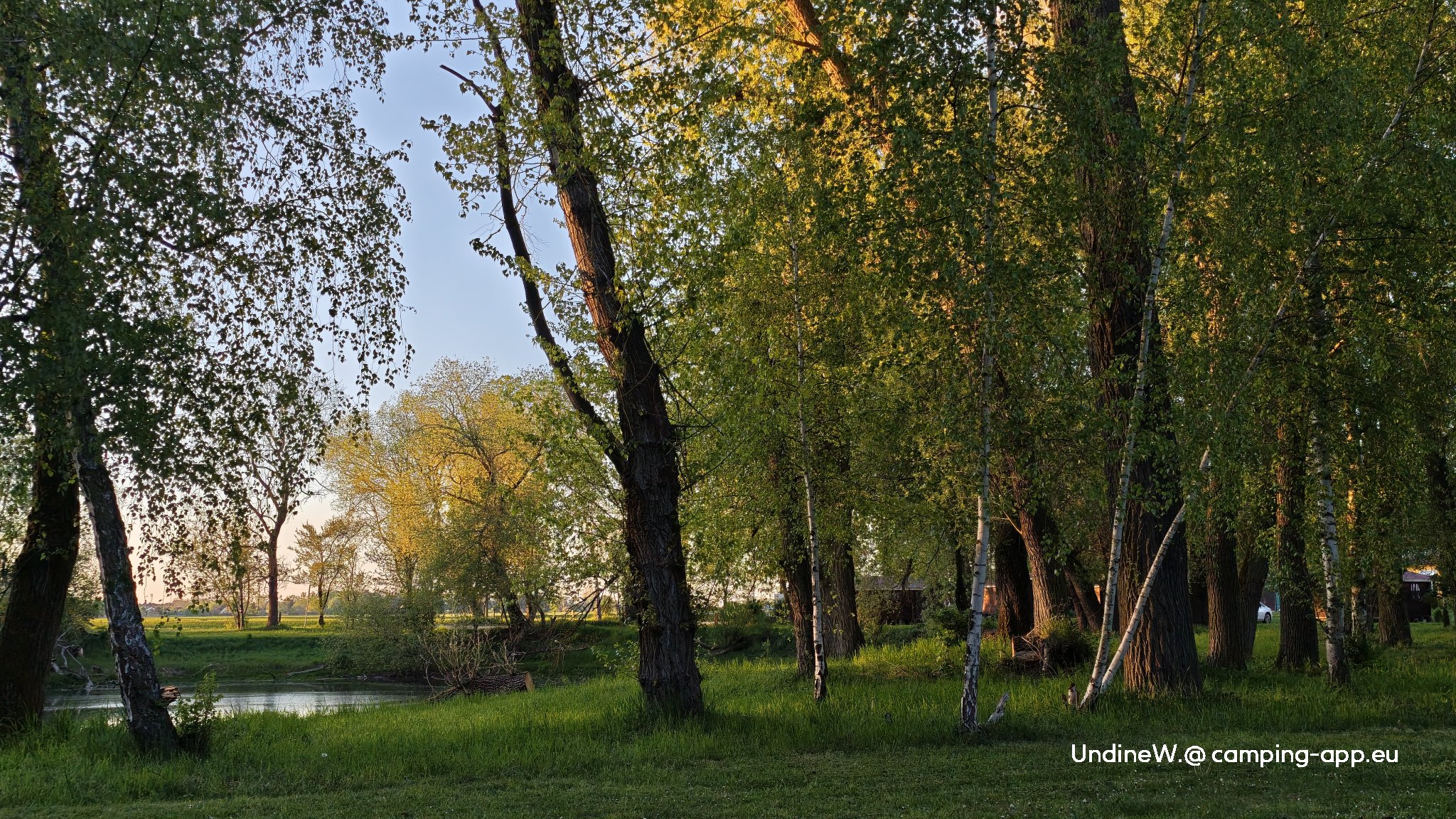 Family Camp Kellerwiel — Photo 6