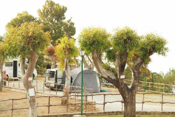 Rais Gerbi Camping & Village — Photo 3