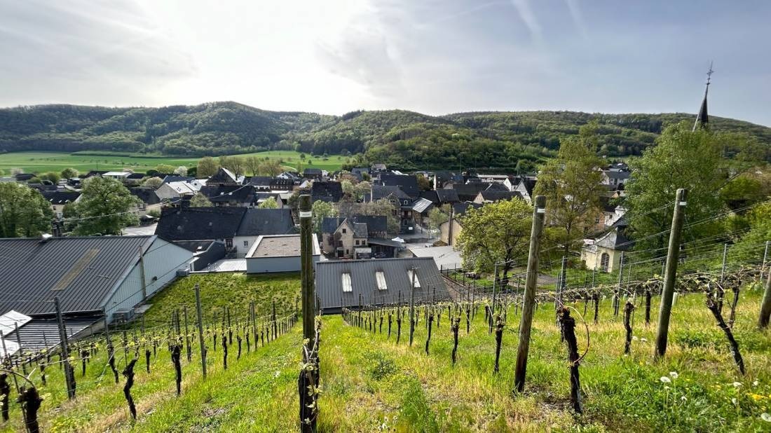 Stellplatz am Weingut Bohn-Leimbrock Burgen — Vingård in Burgen