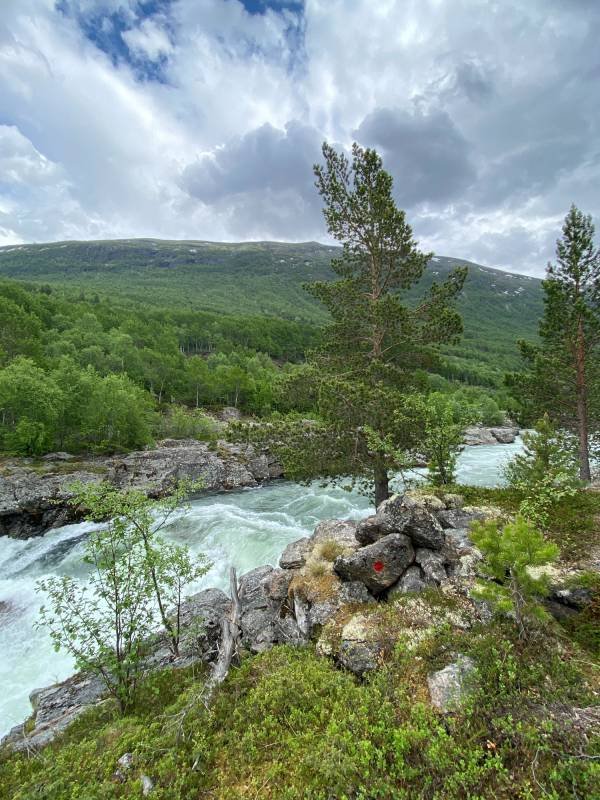 Magalaupe Camping — Photo 6