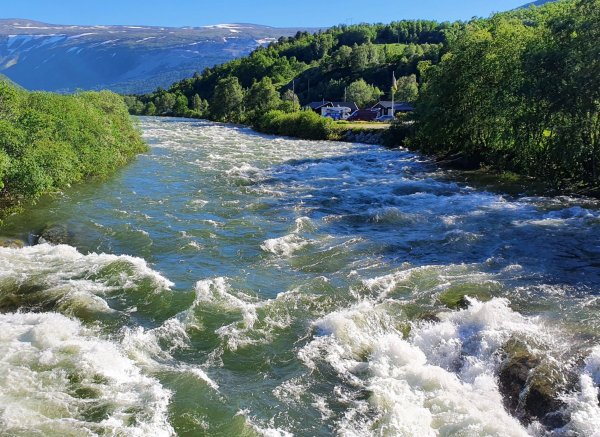 Magalaupe Camping — Photo 3