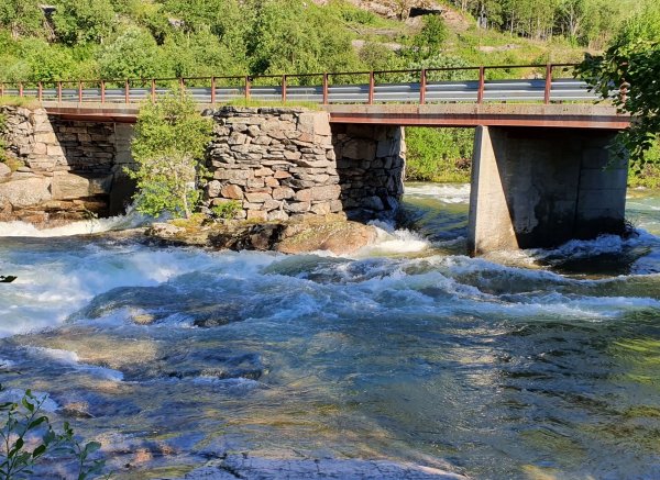 Magalaupe Camping — Photo 5