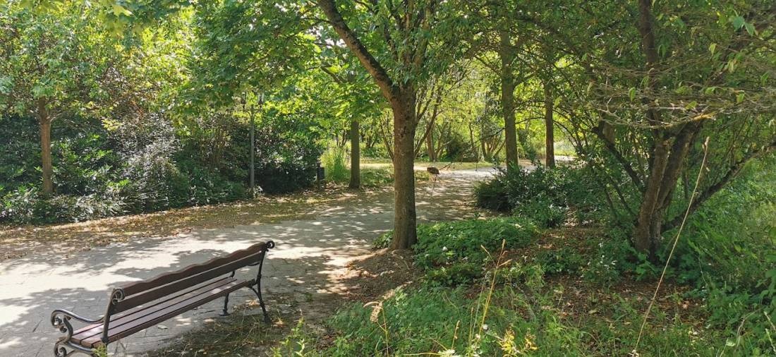 Stellplatz Bad Emstal — Karavan Sitesi in Bad Emstal