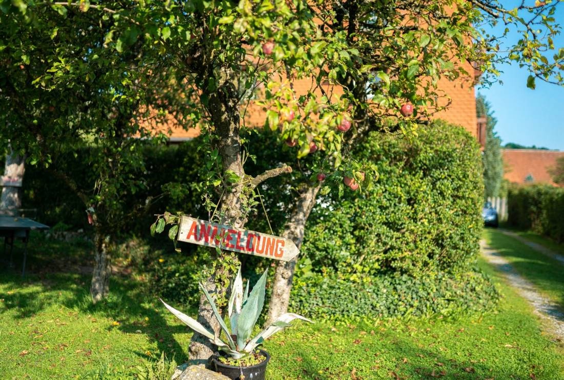 Campingplatz von Steinhausen — 露营地 in Bad Schussenried