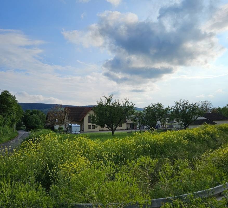 Weingut Willibald Klüpfel — Weingut in Thüngersheim
