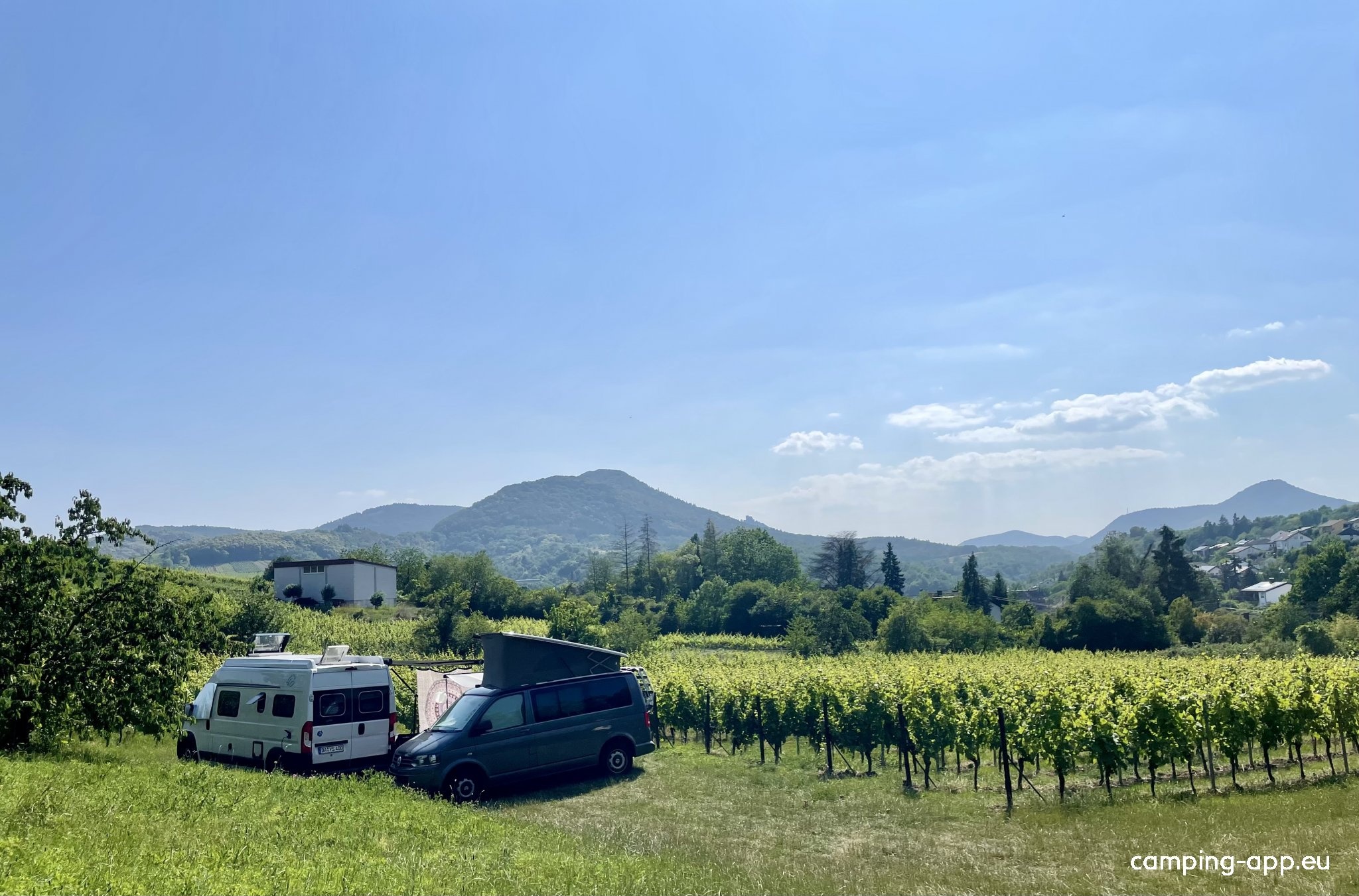 Weingut Hahn-Hof — Weingut in Albersweiler