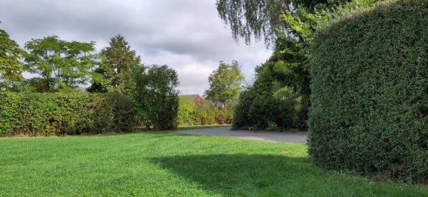 Campingplatz Fläming Rast Körbitz — Photo 2