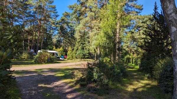 Wildwood Camping — Photo 3